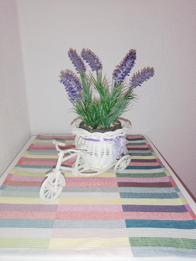 Apartment Pecarevic - A Holiday With A Stunning View Vis Eksteriør billede